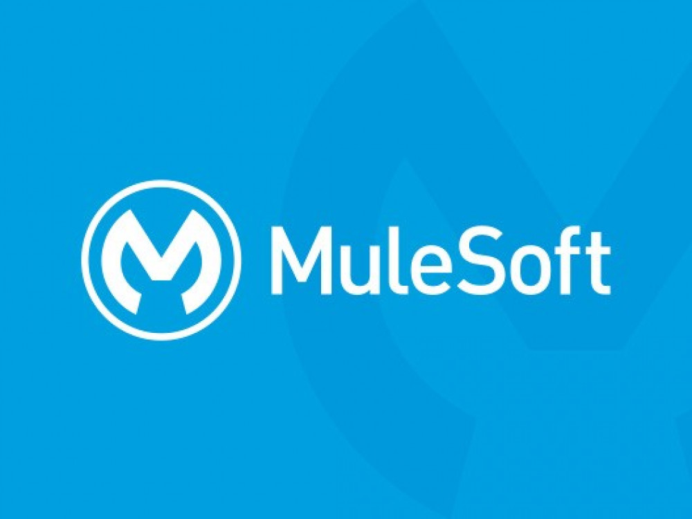 MuleSoft Enterprise Middleware Training